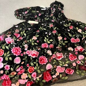 NWT Jessakae Rose Dress